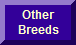 Other Breeds For Sale