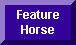 This Week's Featured Horse