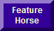 This Week's Featured Horse