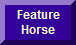 This Week's Feature Horse